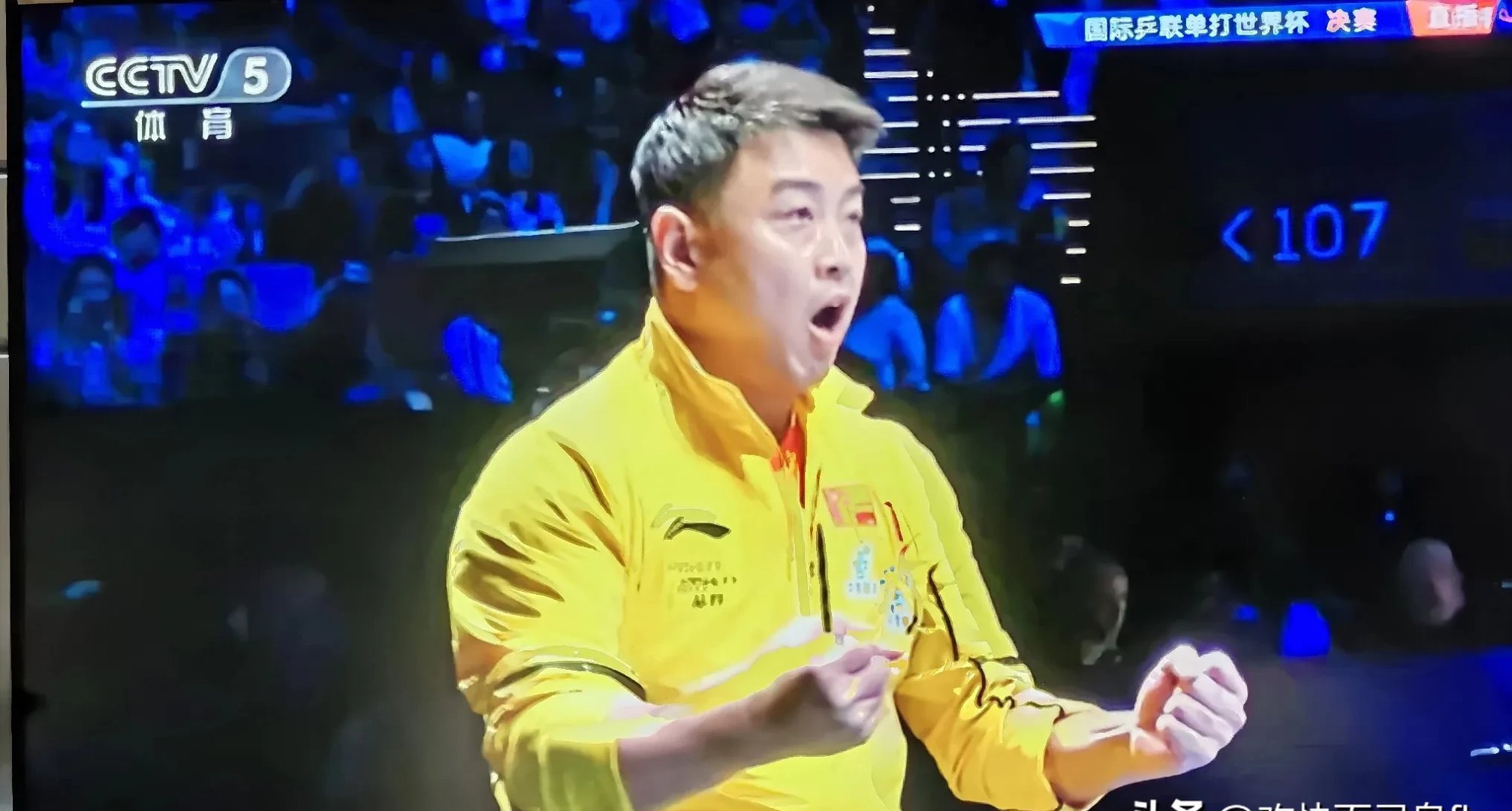 奥地利乒乓球队翻盘瑞典乒乓球队,王皓三分雨点燃全场 奥地利乒乓球队翻盘瑞典乒乓球队,王皓三分雨点燃全场