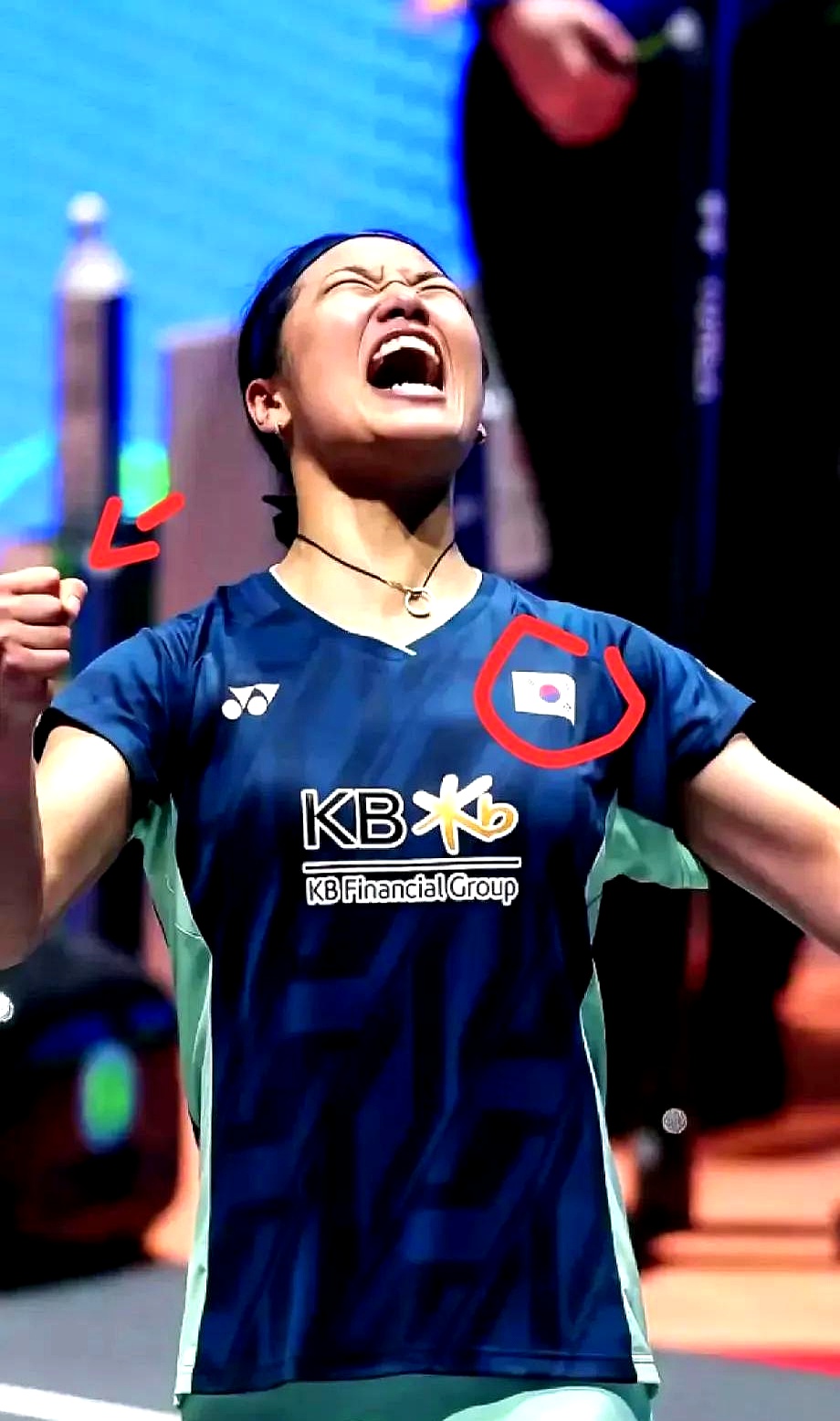 包含丹麦羽毛球队逆转韩国羽毛球队，戴资颖打破历史纪录的词条