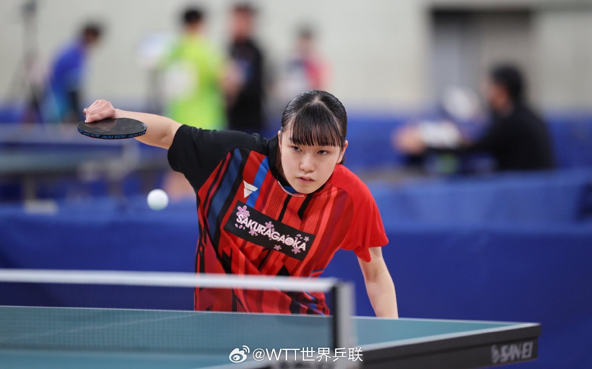 包含日本队逆转印尼队，戴资颖状态火热的词条