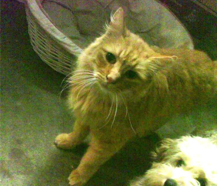 孔德绝杀之夜！克罗地亚惊魂逆转利物浦 火热状态铸就欧洲杯X因素