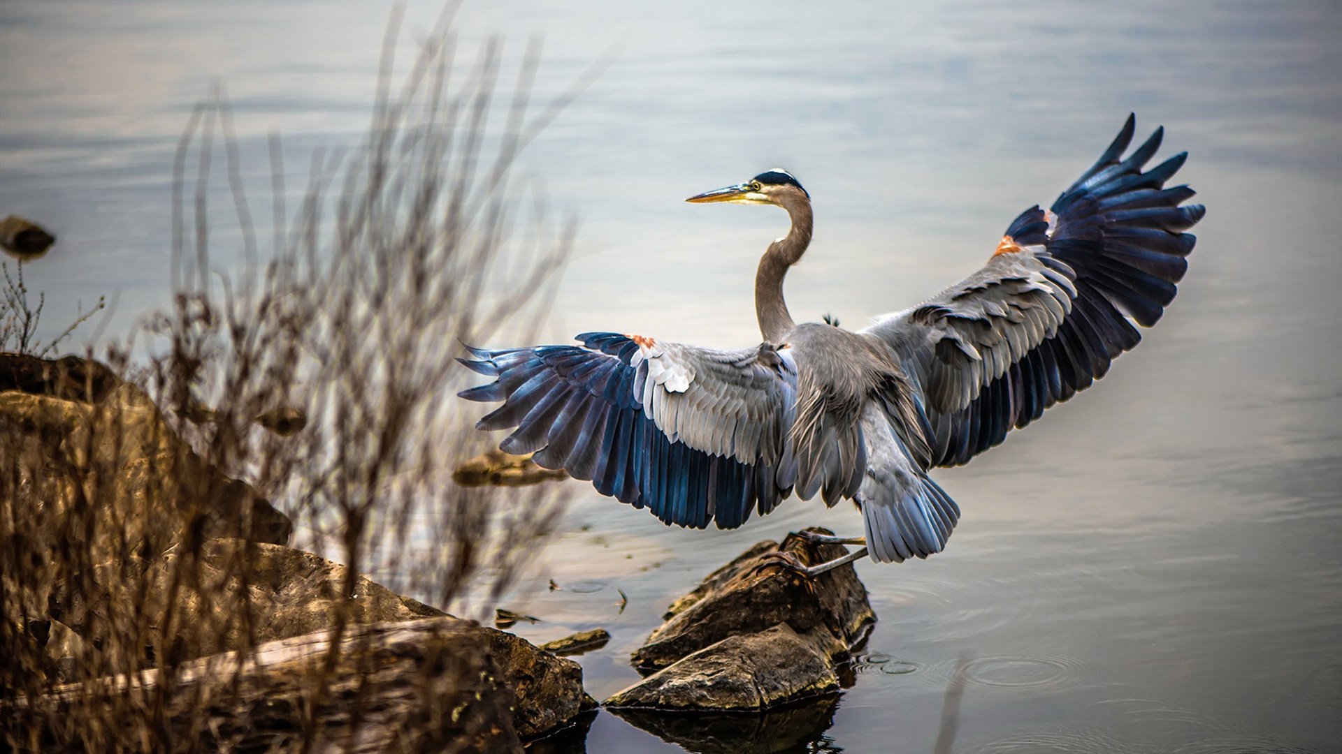 钢铁骨架与细腻肌理，当团体绝杀与个人高光相遇亚洲羽坛