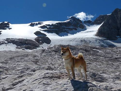 晨露与熔岩,同一种体育心跳