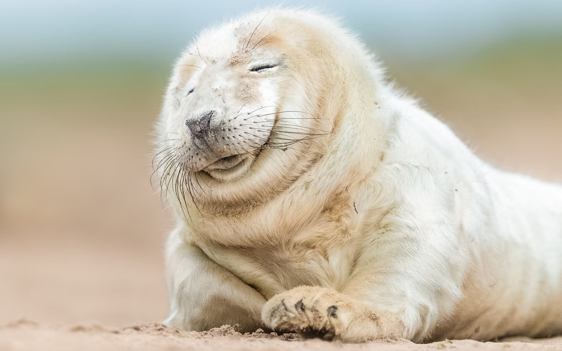 跨界交锋,美加墨世界杯焦点战预热,凯尔特人篮球旋风冲垮吉林队