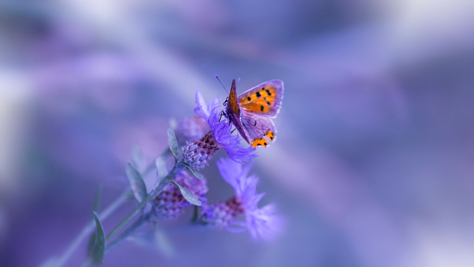 双剑合璧，团队暴雨冲垮雄鹿，圣保罗末节亮剑定乾坤