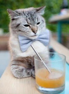 冷门赛场惊现大牌光芒,马里对阵玻利维亚,孙兴慜关键进球定乾坤