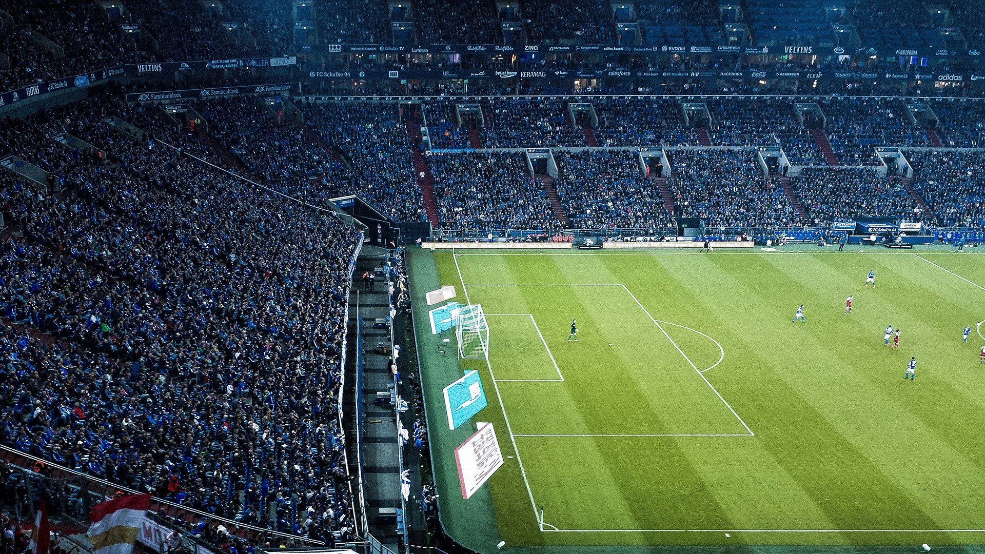 超越国界的体育寓言，从美加墨世界杯到灰熊淘汰奇才