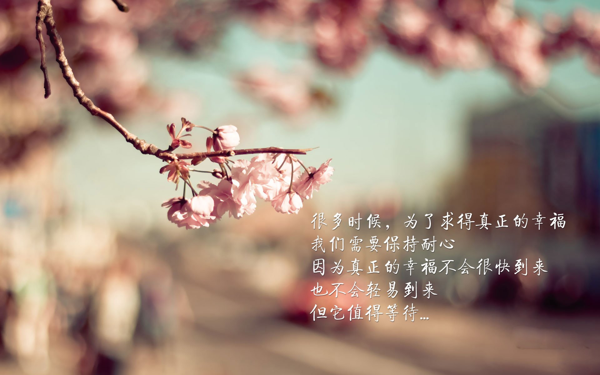 欧冠决赛焦点战映照篮球场，辽宁队单节风暴拉开独行侠