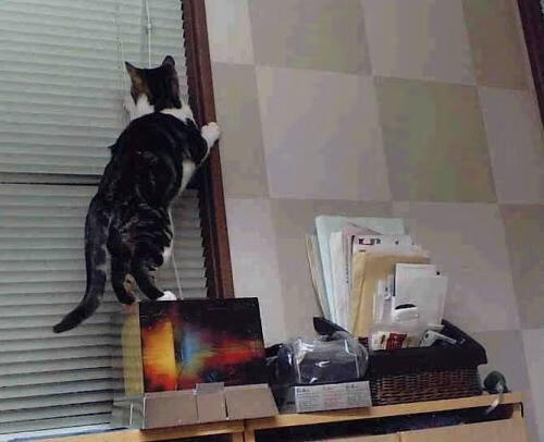 库里三分12投仅1中，杜兰特独砍38分率森林狼击溃勇士