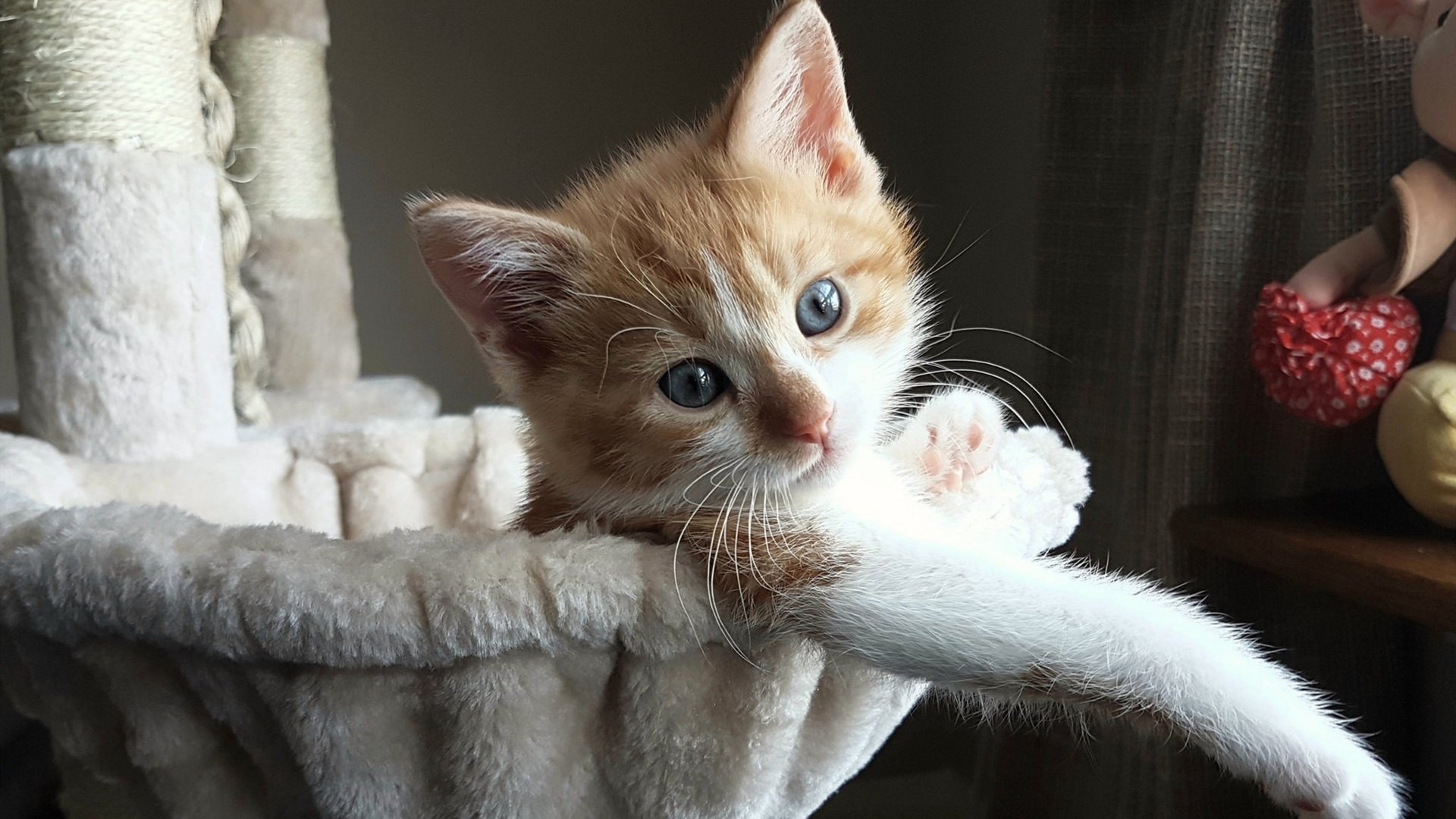 生死16秒!米切尔绝平续命+加时封神,篮网撕碎骑士双塔防线