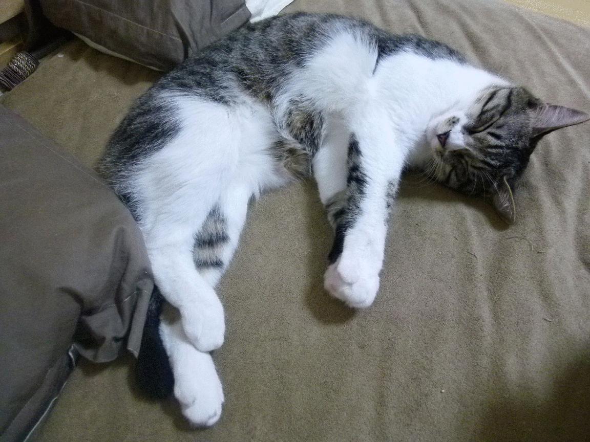 1.核心事实版,苏超新贵爆冷粉碎马德里竞技,C罗一锤定音再显关键先生本色