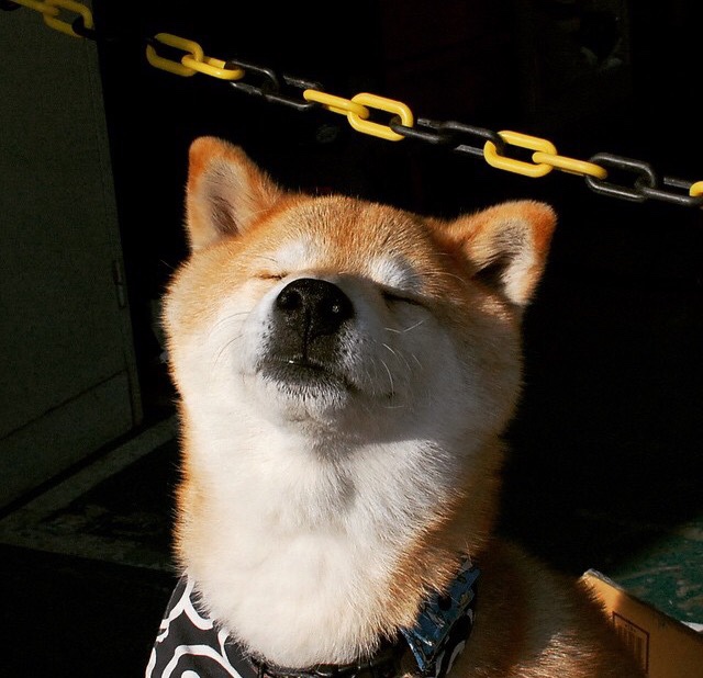 风暴之眼，当阿克一人撕裂阿根廷的夜晚