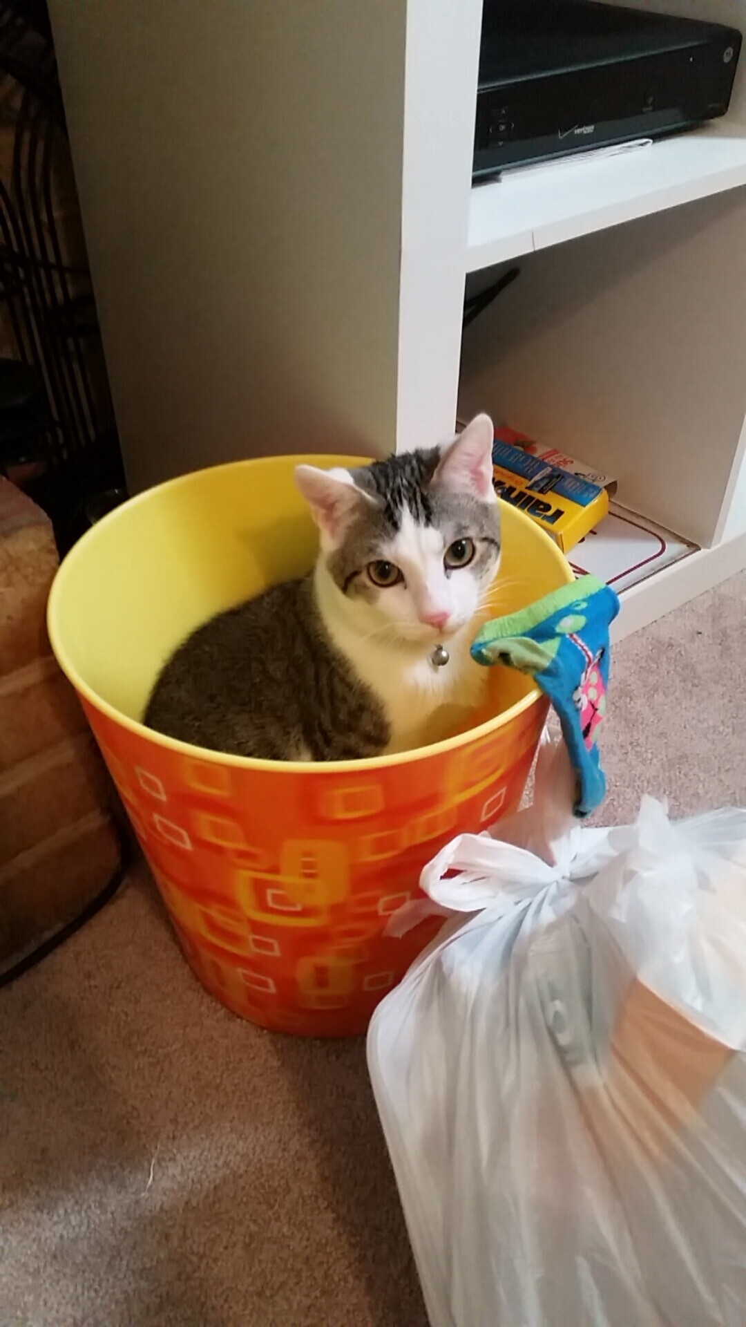 沙特对巴萨的双重革命，当足球地理被重绘，哈弗茨证明自己是最好的答案