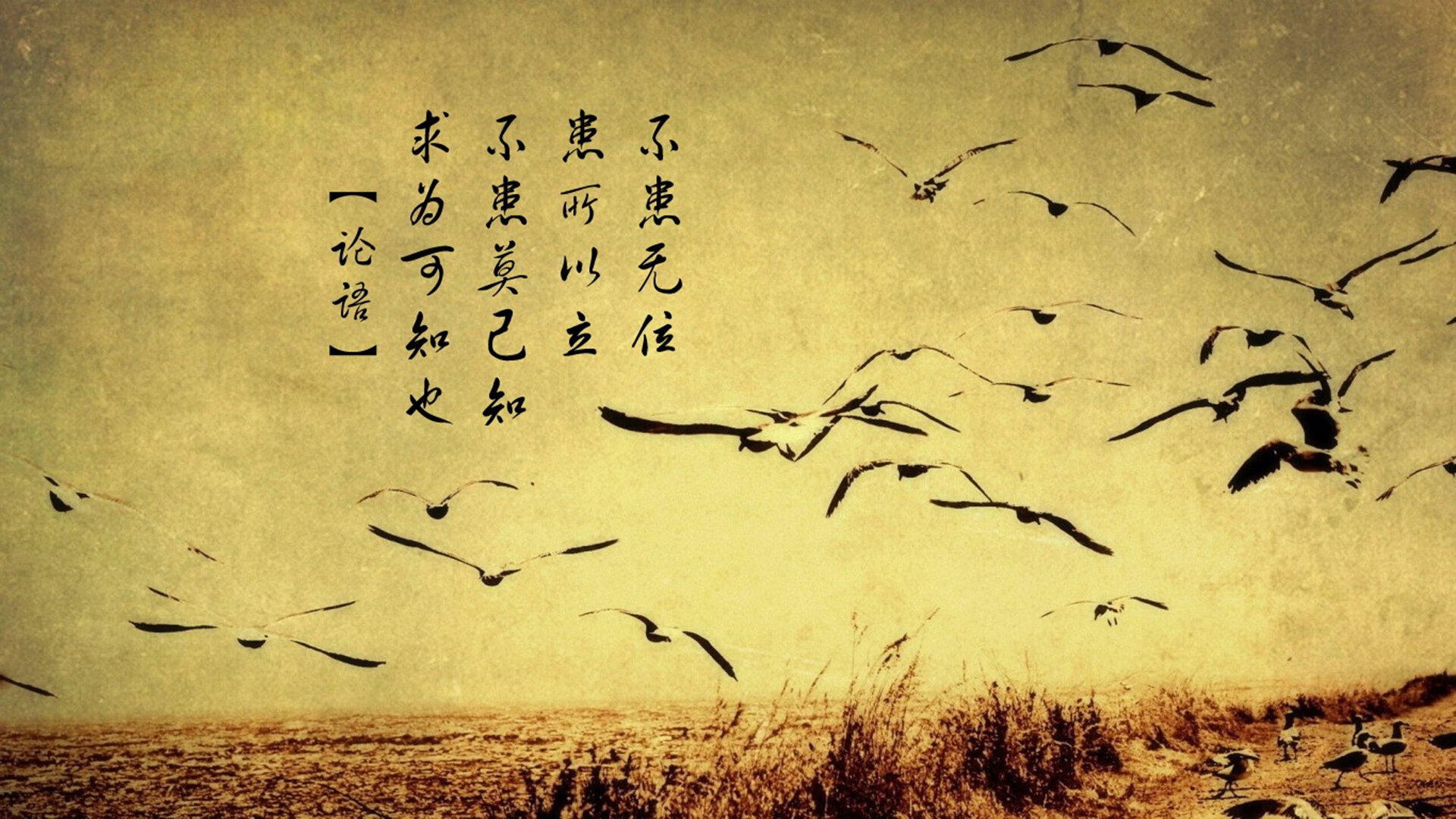 唯一的光，2026世界杯C组，当日本完胜匈牙利，范戴克用铁血防守写就逆转让世界沉默
