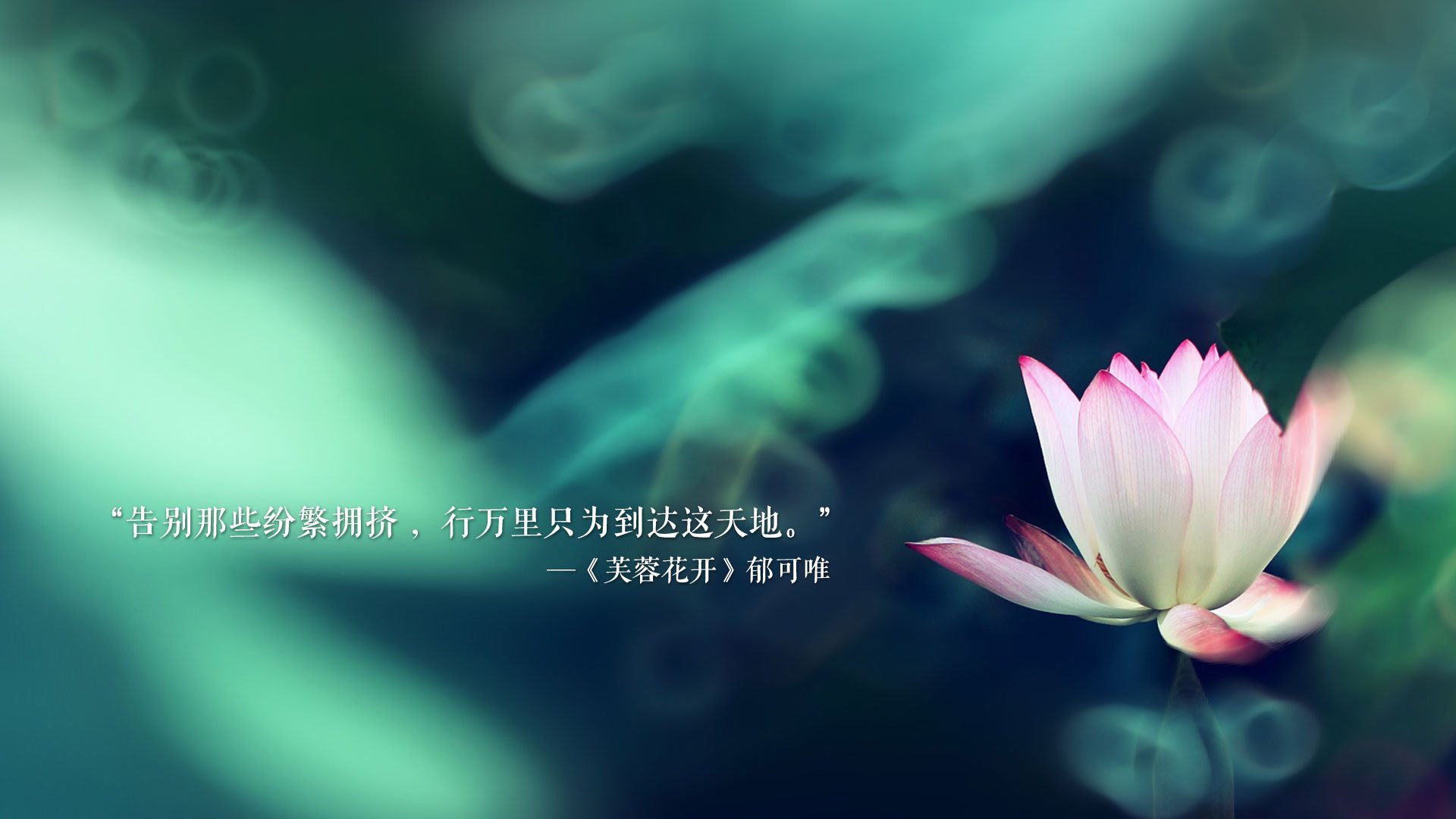 沙漠之巅的独白，当越南铁骑踏碎卡塔尔星空，巴雷拉在2026世界杯写下唯一的神谕