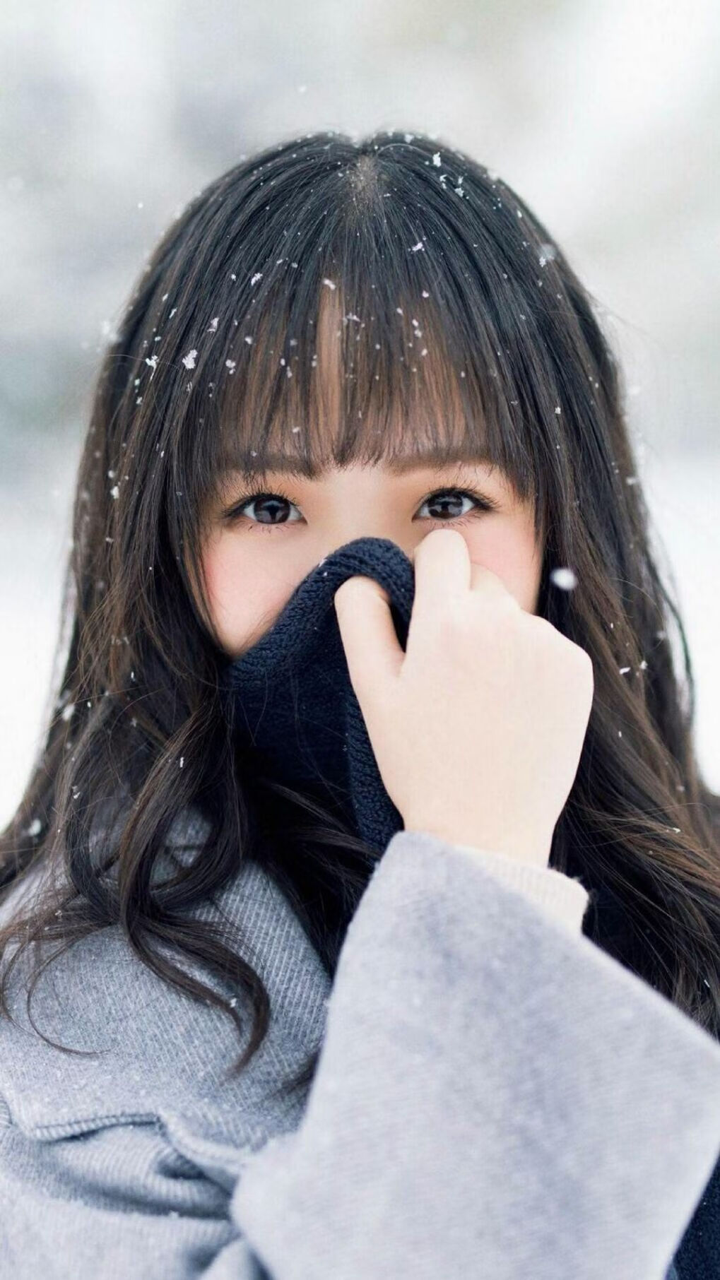 孤锋破晓,当哈兰德的热度,点燃2026世界杯C组的冷门之夜